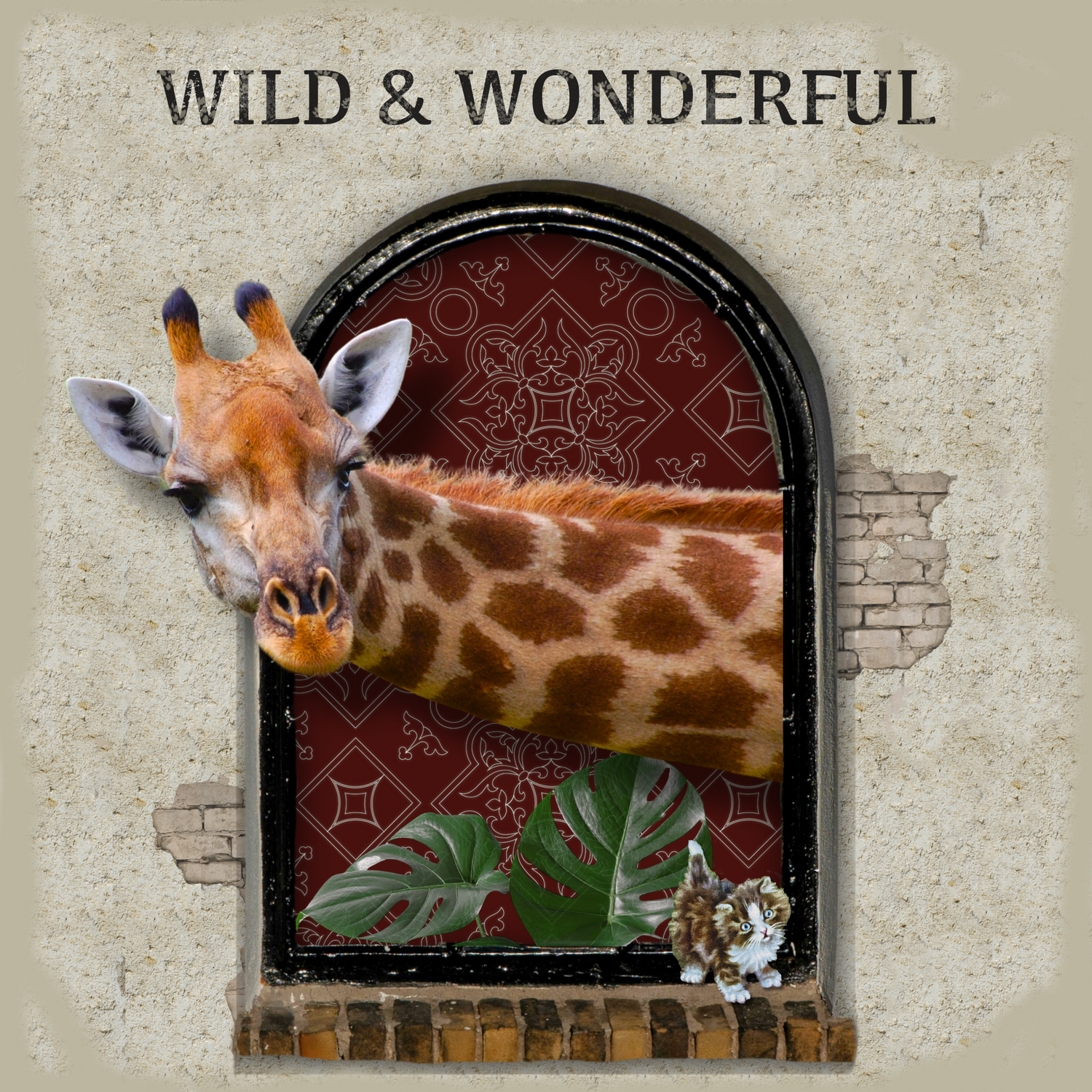 Wild & Wonderful: Animal Postcards