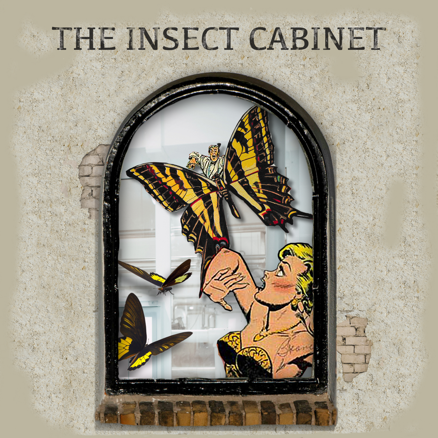 The Insect Cabinet: Bug Postcards