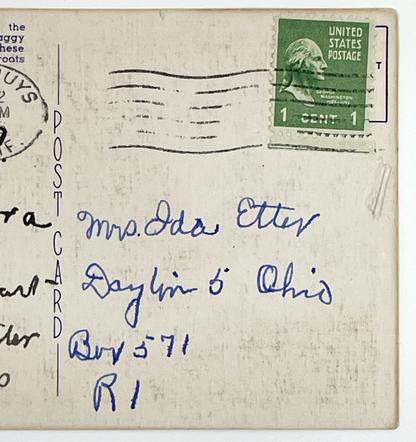 Vintage Joshua Tree Silhouetted Against a California Sunset Postcard | Van Nuys CA Postmark | 1945