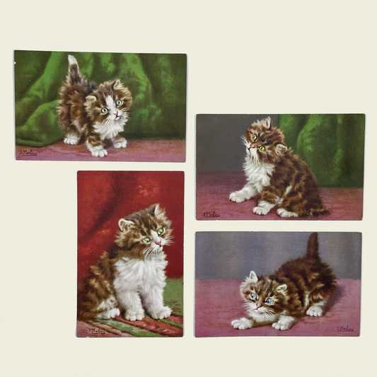 Vintage Postcards of Fluffy Kittens, D. Merlin, Swiss Publisher, Edition Stehli