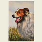 Collie Postcard - Happy Dog in a Field of Grass