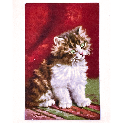 Vintage Postcards of Fluffy Kittens, D. Merlin, Swiss Publisher, Edition Stehli
