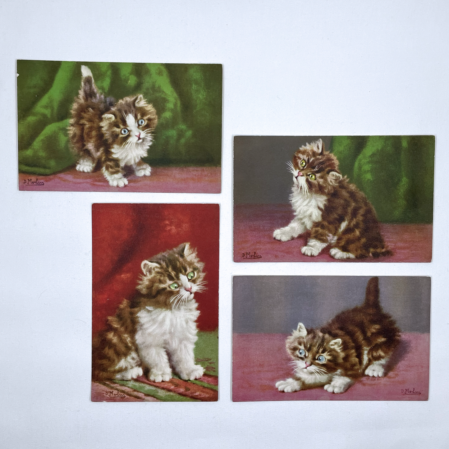 Vintage Postcards of Fluffy Kittens, D. Merlin, Swiss Publisher, Edition Stehli
