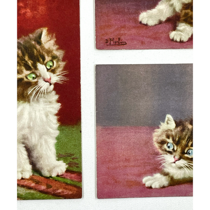 Vintage Postcards of Fluffy Kittens, D. Merlin, Swiss Publisher, Edition Stehli
