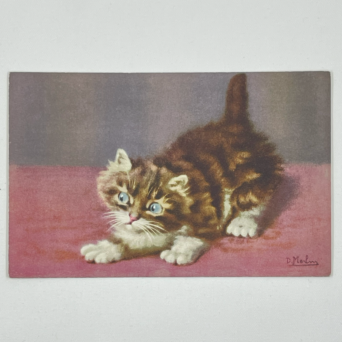 Vintage Postcards of Fluffy Kittens, D. Merlin, Swiss Publisher, Edition Stehli