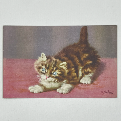 Vintage Postcards of Fluffy Kittens, D. Merlin, Swiss Publisher, Edition Stehli