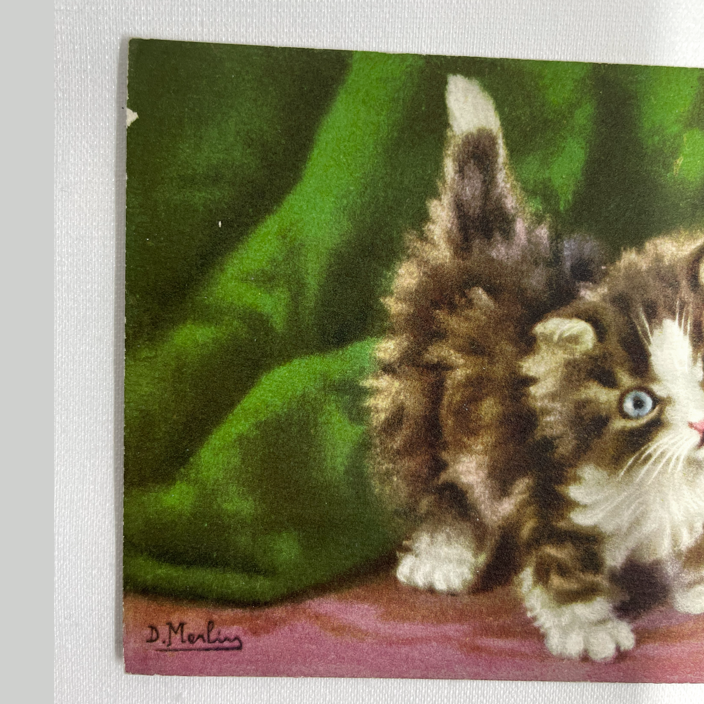 Vintage Postcards of Fluffy Kittens, D. Merlin, Swiss Publisher, Edition Stehli