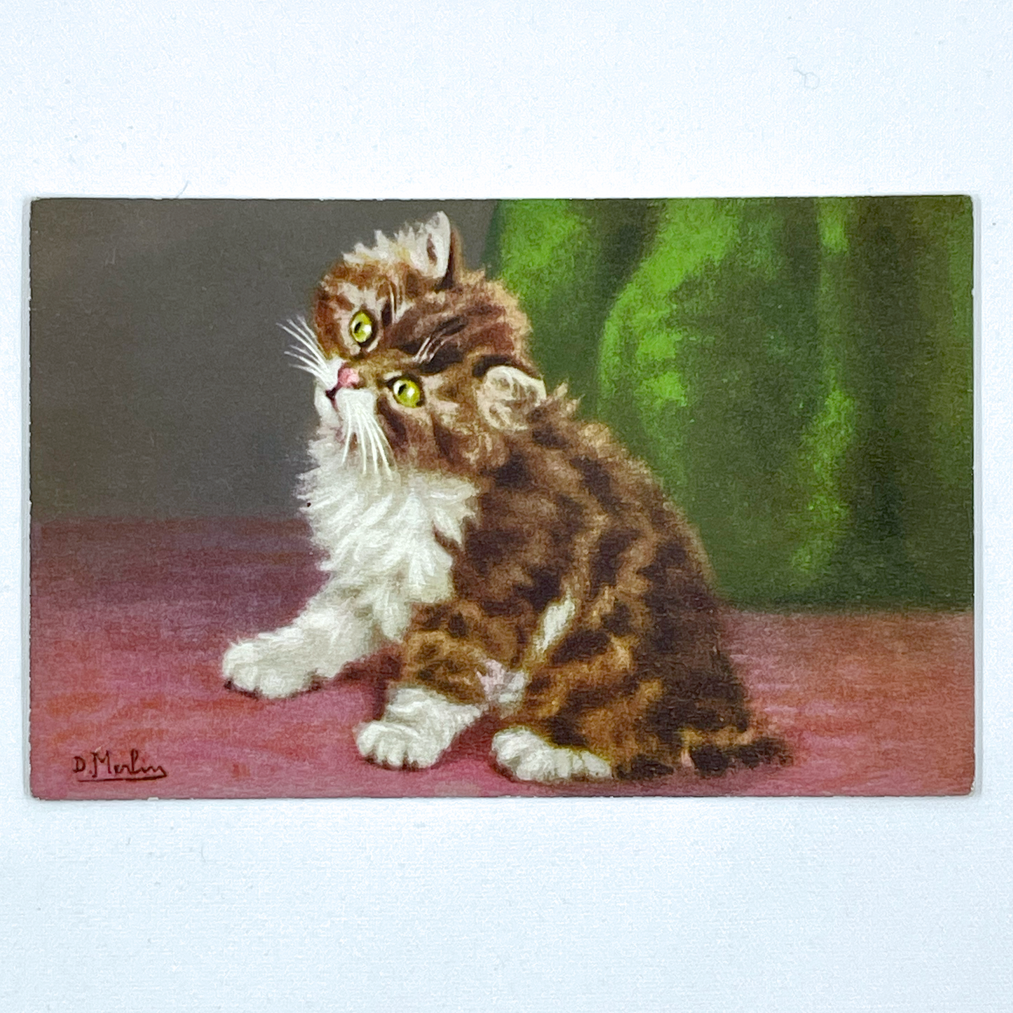 Vintage Postcards of Fluffy Kittens, D. Merlin, Swiss Publisher, Edition Stehli