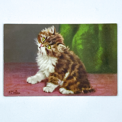 Vintage Postcards of Fluffy Kittens, D. Merlin, Swiss Publisher, Edition Stehli